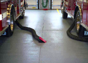 Under-floor exhaust removal system in a fire station.